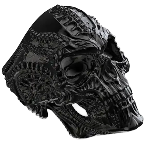 Skull Tribe Ring ππ₯