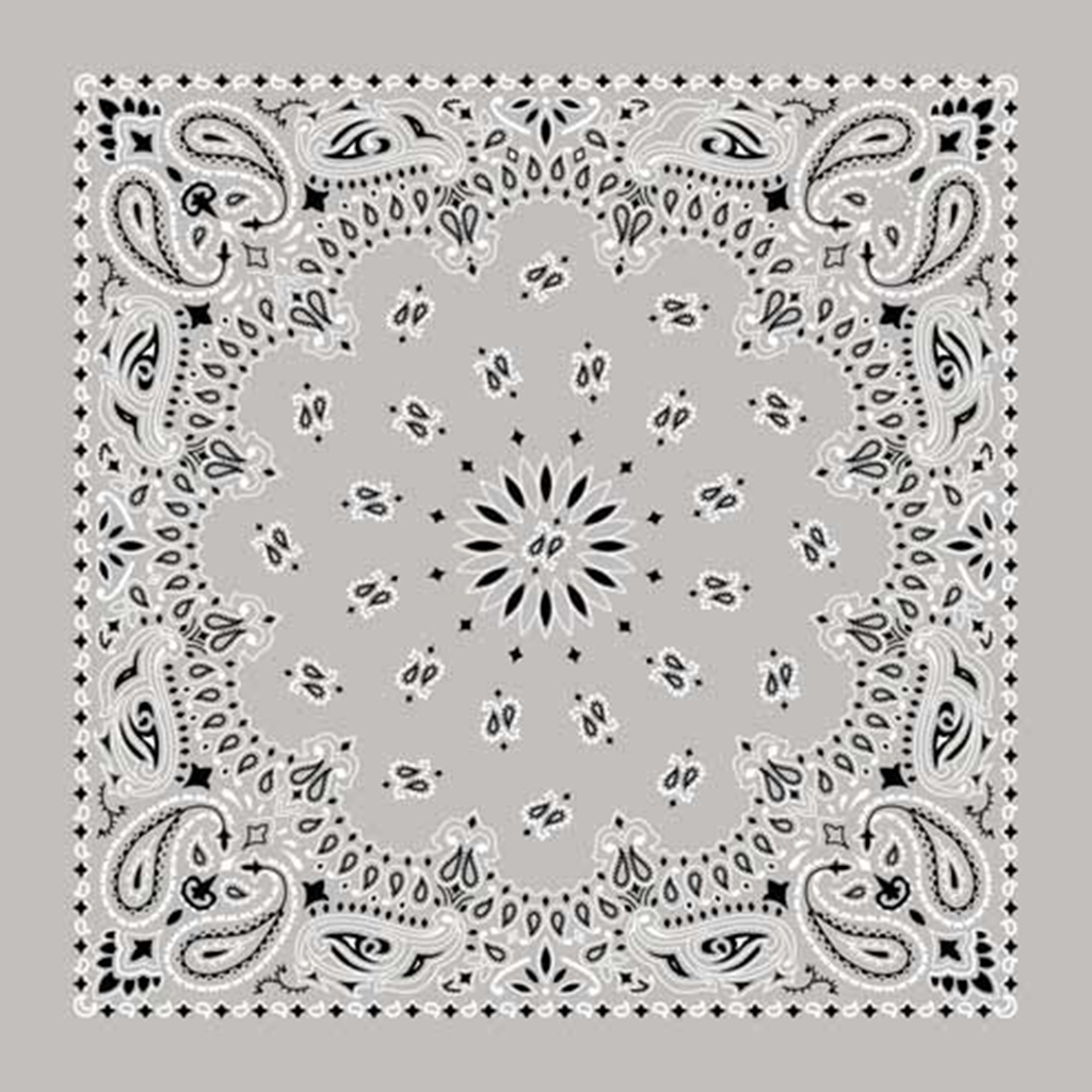 A silver bandana with paisley patterns.