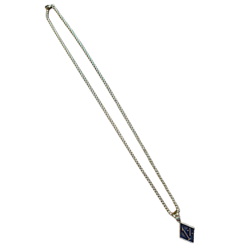 Gold stainless steel 1% necklace on a 26" rounded box chain.