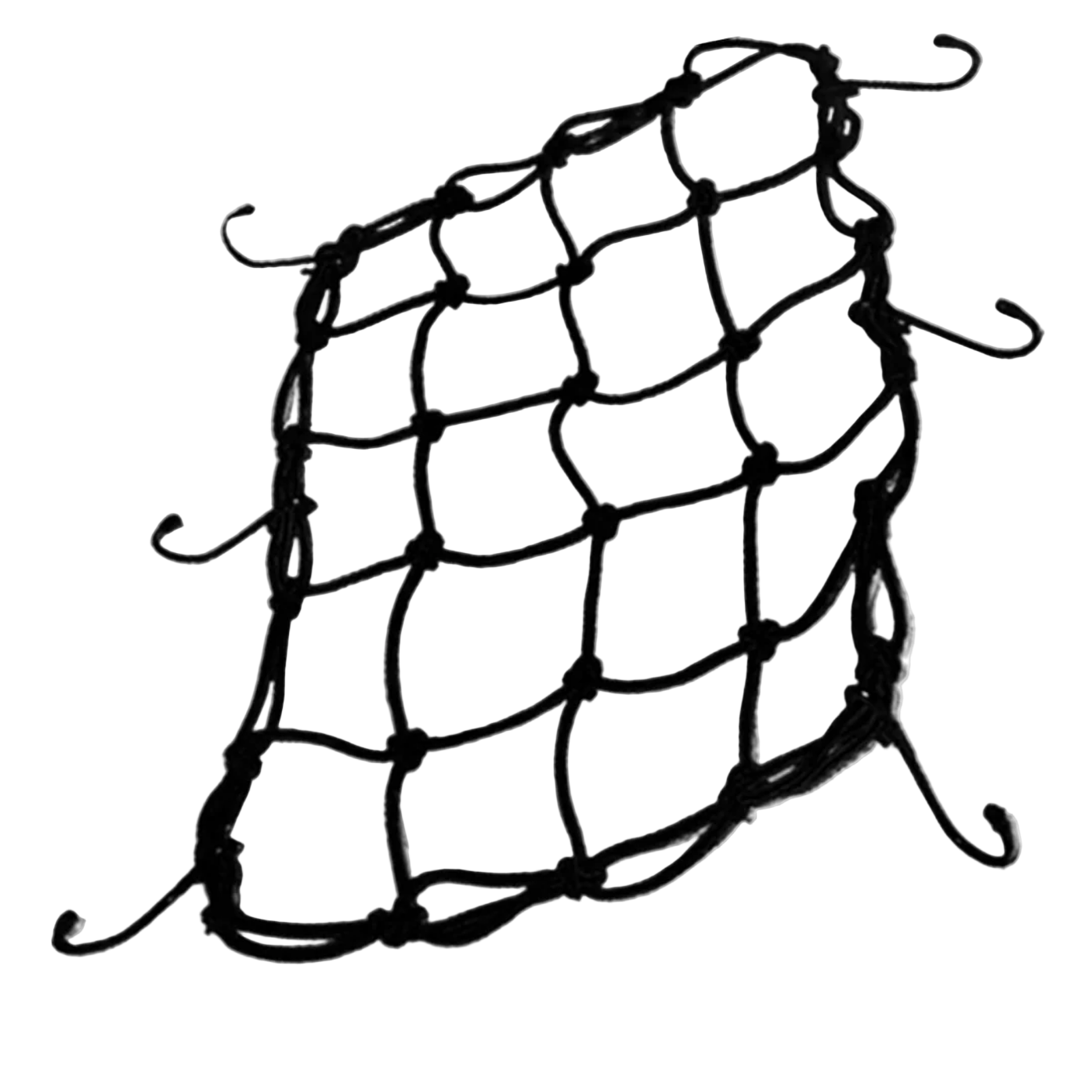 Black cargo net with hooks.