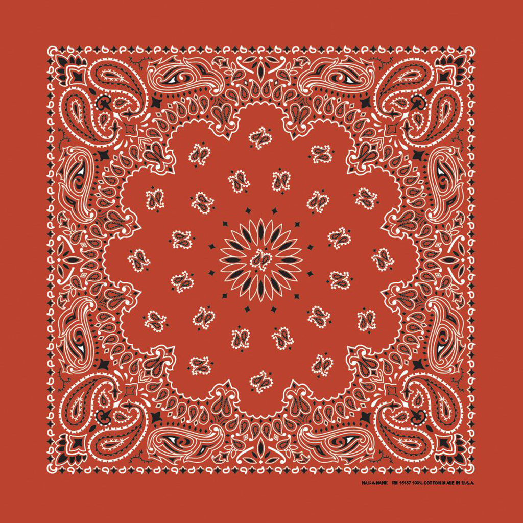 Rolled Hem Paisley Riding Bandana In Terracotta