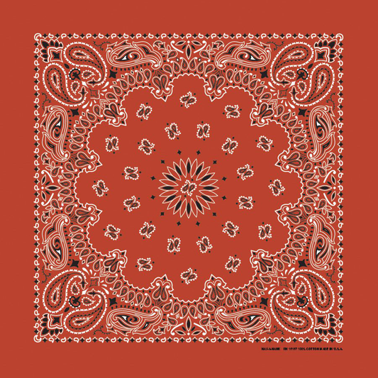 Rolled Hem Paisley Riding Bandana In Terracotta