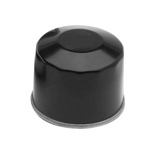 Replacement For HD 63731-99A Oil Filter