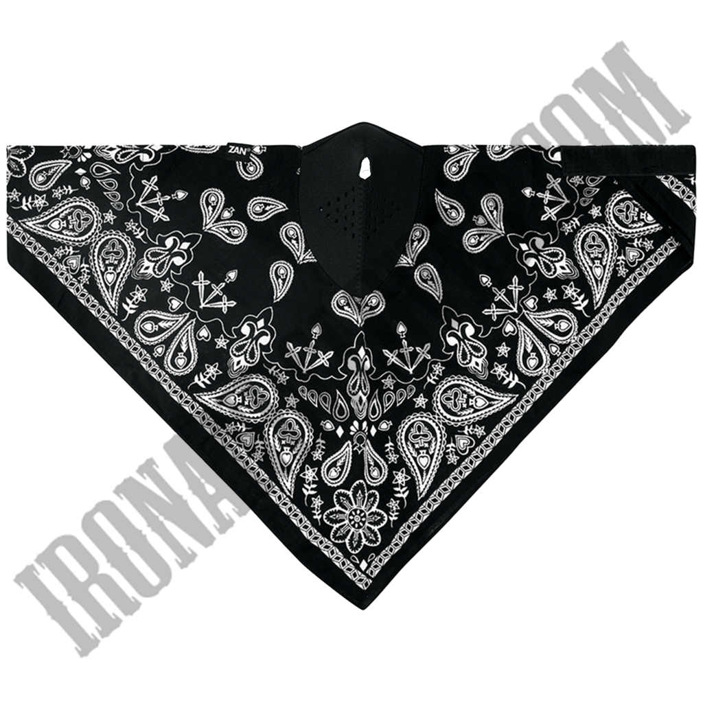 Black Paisley Neodanna® Mask