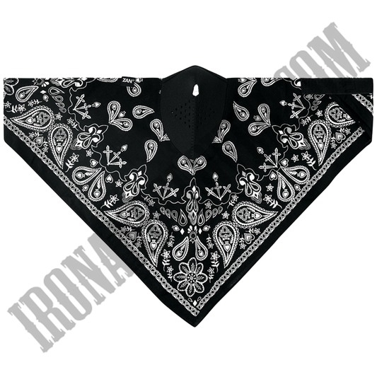 Black Paisley Neodanna® Mask