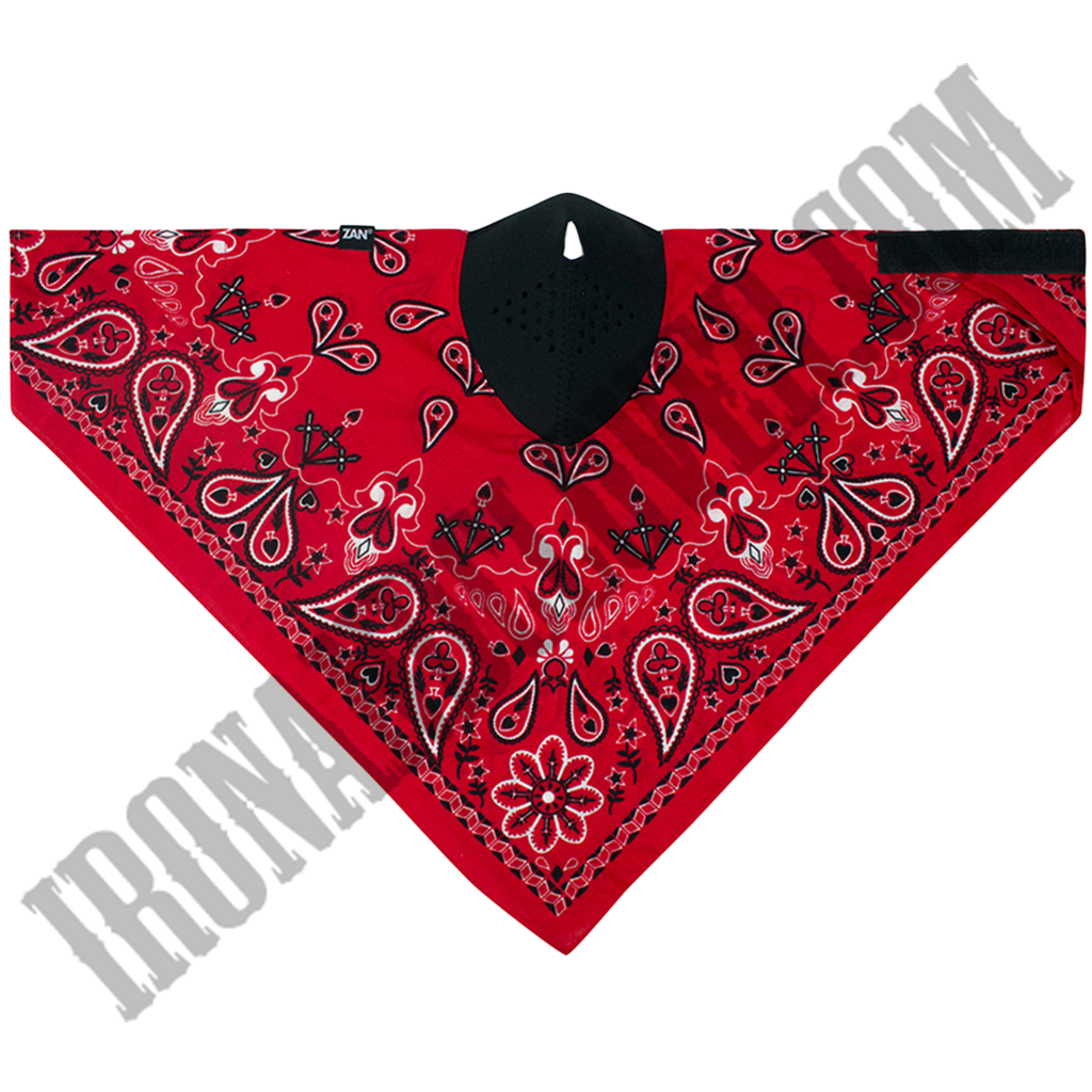 Red Paisley Neodanna® Mask