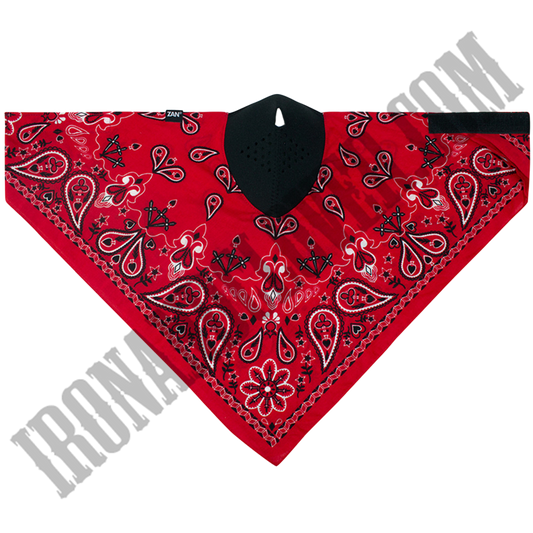 Red Paisley Neodanna® Mask