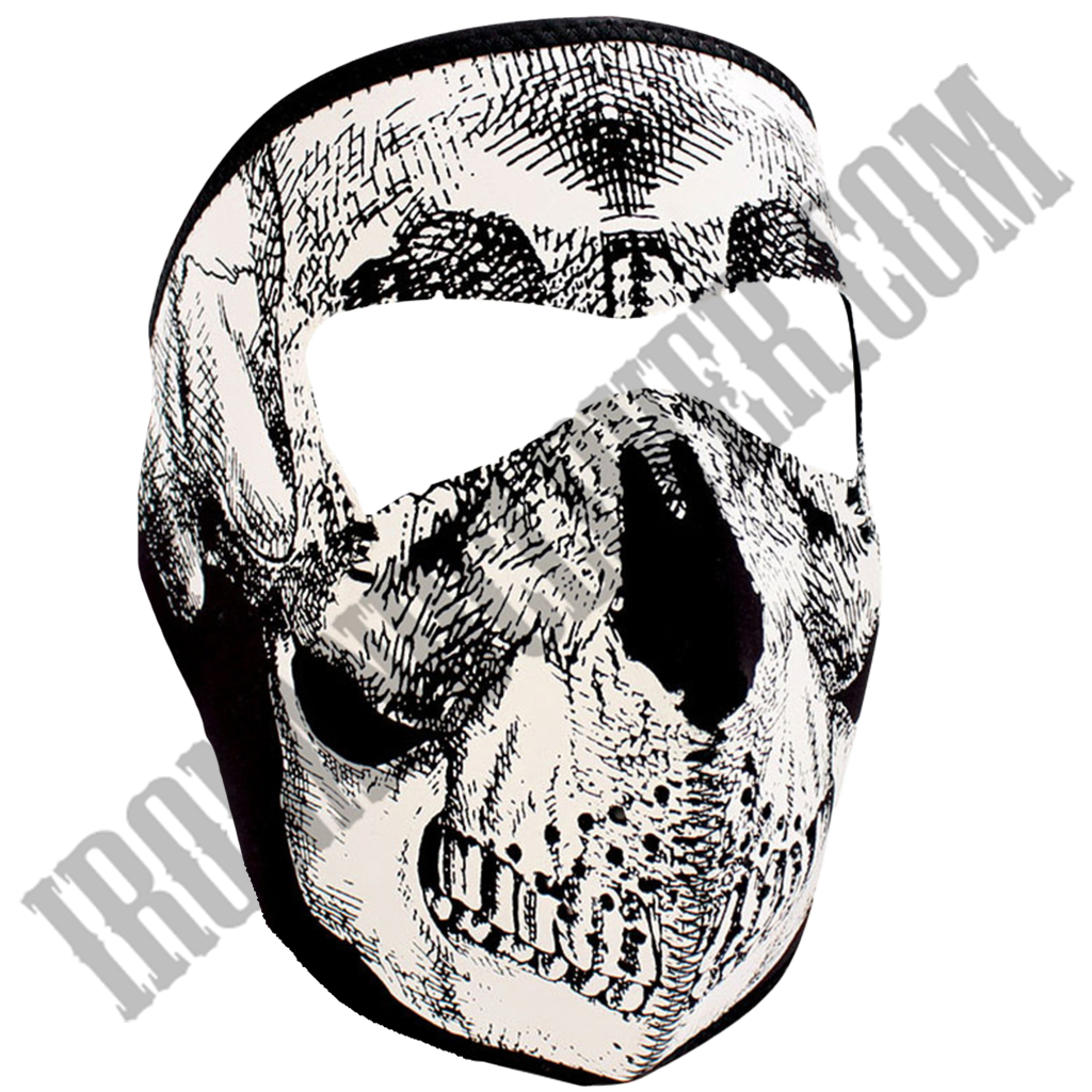 Black & White Skull Glow in the Dark Full Face Mask