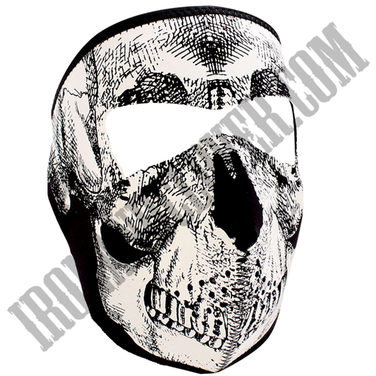 Black & White Skull Glow in the Dark Full Face Mask