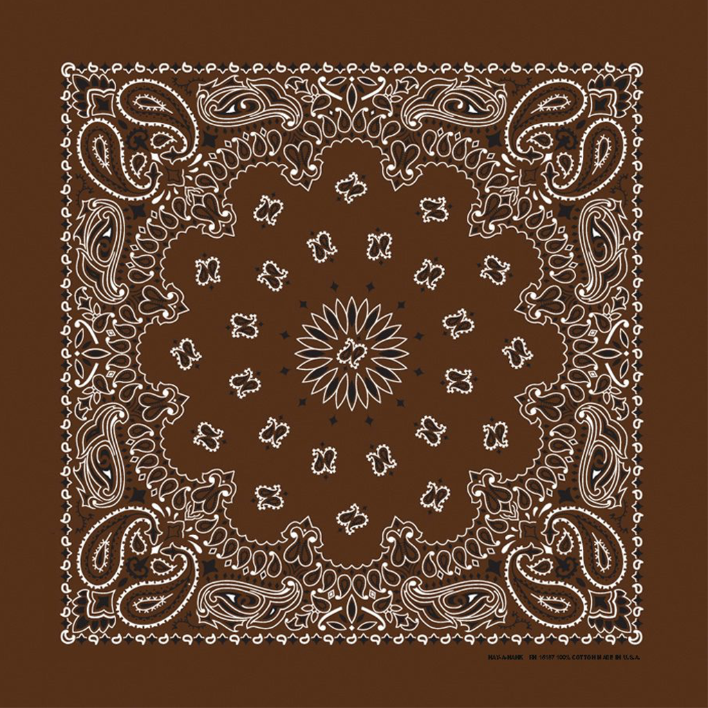 Coco Paisley Bandana