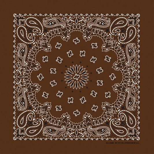 Coco Paisley Bandana