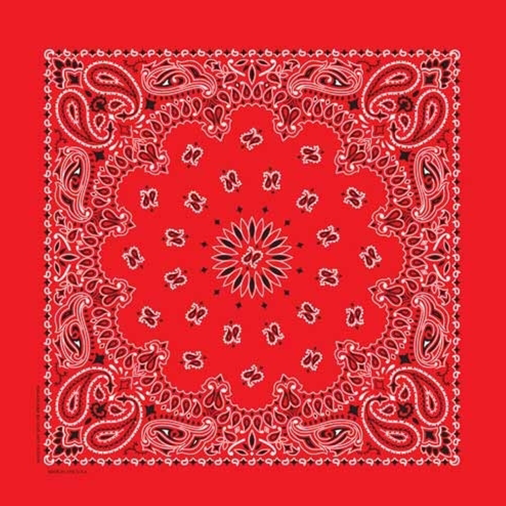 Red Paisley Bandana