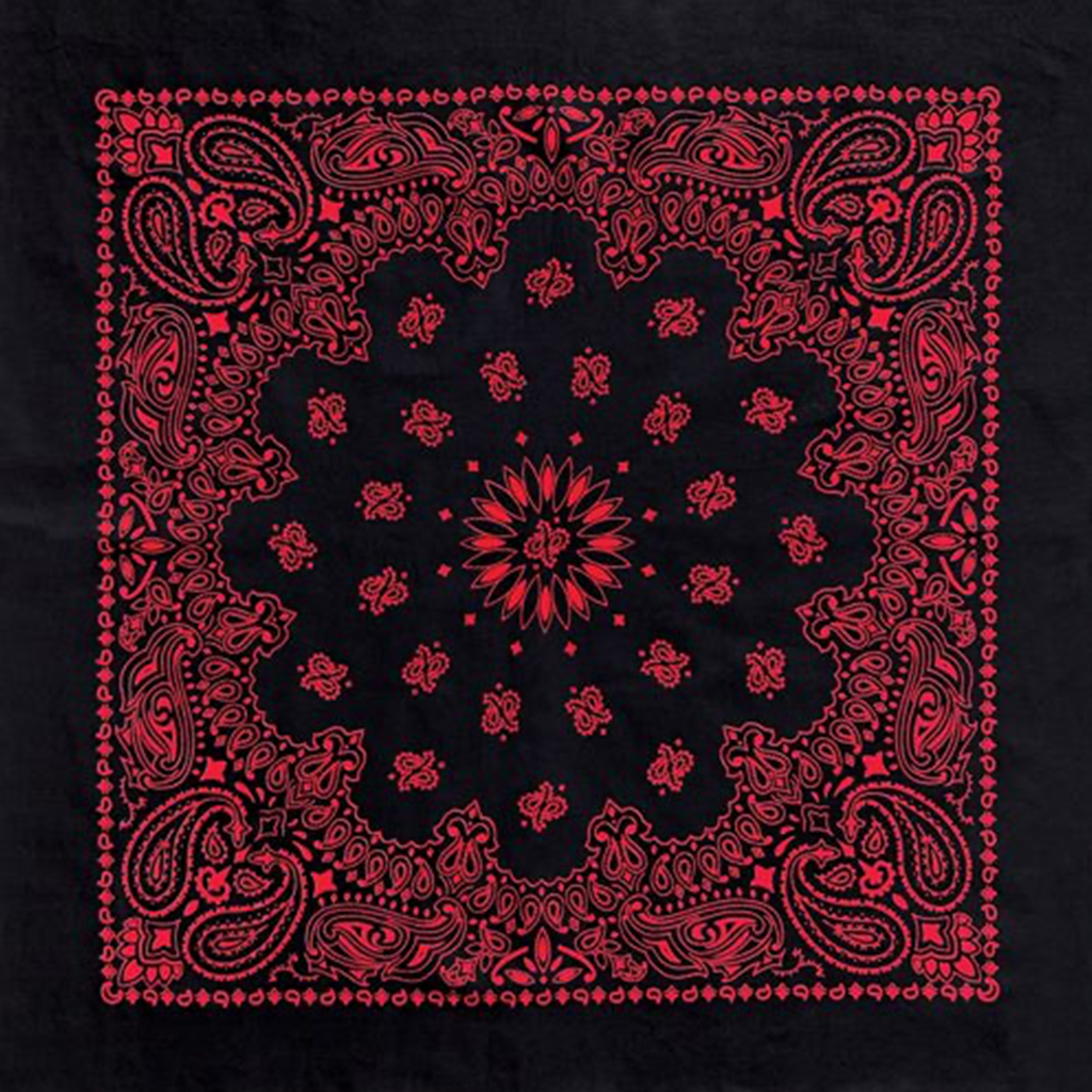 Red And Black Two Sided Paisley Bandana
