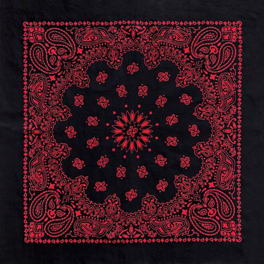 Red And Black Two Sided Paisley Bandana