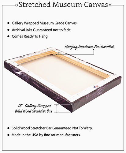 Canvas Back 
