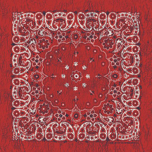 Rustic Red White And Indigo Paisley Bandana 27x27 Inches