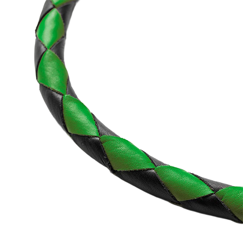 Green & Black Leather Get Back Whip 💚🖤