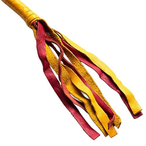Red & Gold Leather Get Back Whip ❤️💛