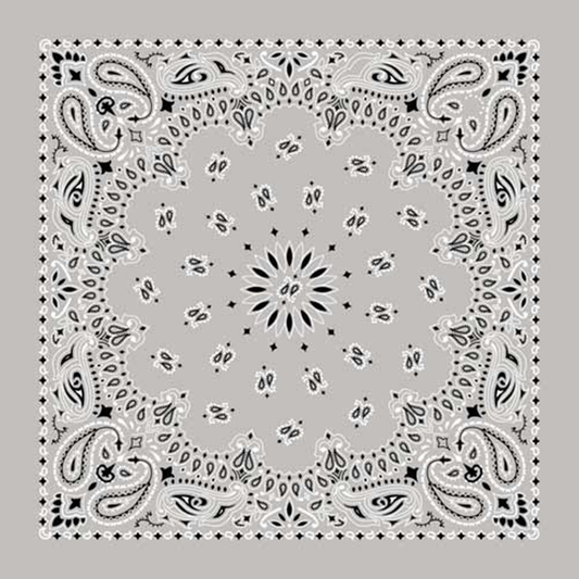 A silver bandana with paisley patterns.