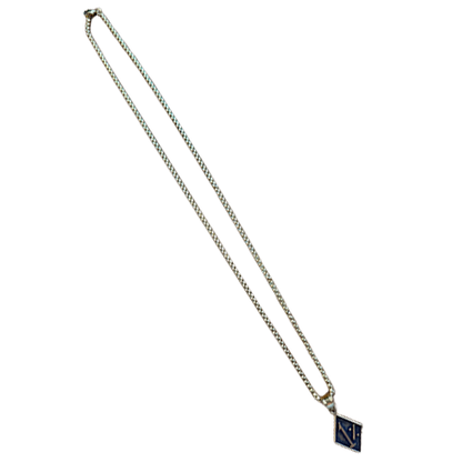 Gold stainless steel 1% necklace on a 26" rounded box chain.