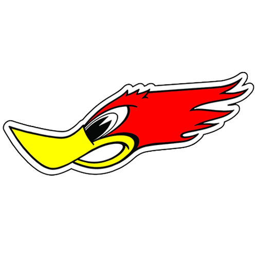 Left-facing Woodpecker motorcycle helmet sticker.